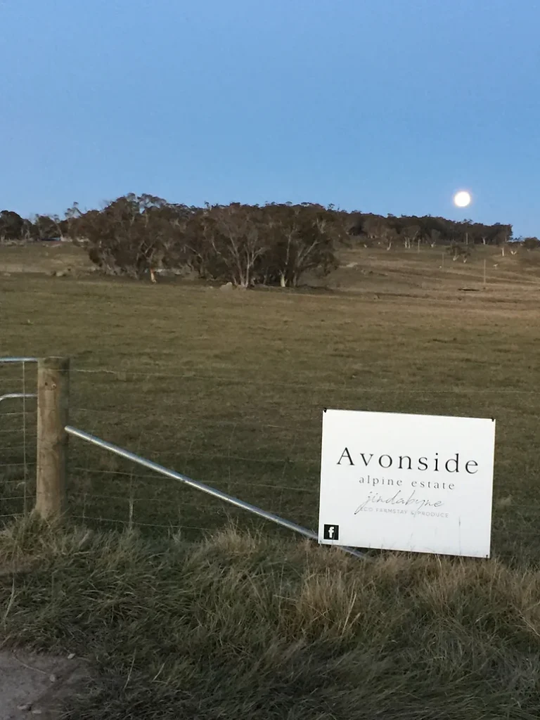 Avonside Alpine Estate View