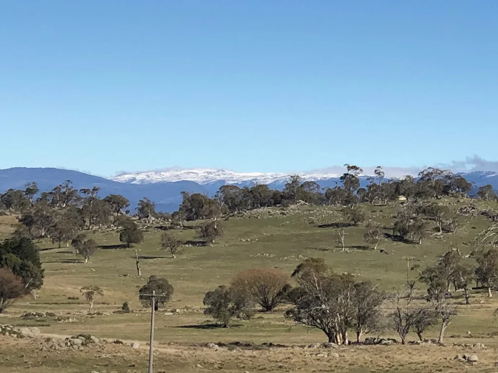 Avonside Alpine Estate View