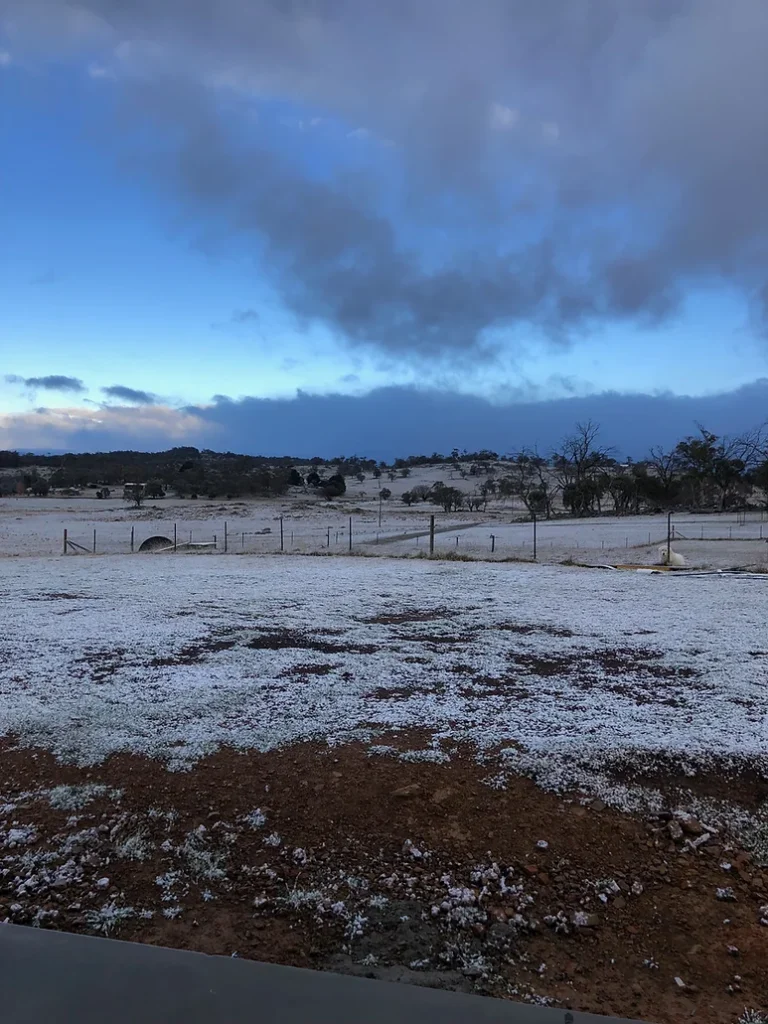 Avonside Alpine Estate View