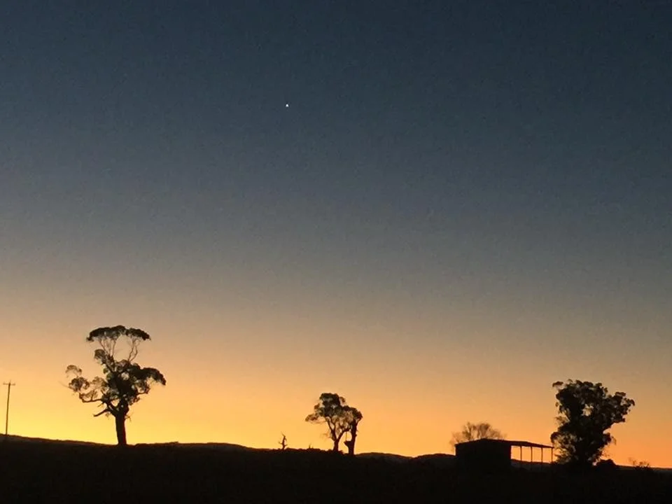 Avonside Alpine Estate View